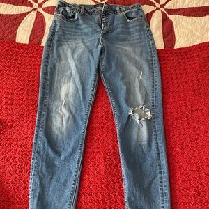 Lucky Jeans Bridgette Skinny Distressed 12